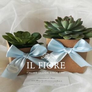 Bomboniere Battesimo con Piantine grasse