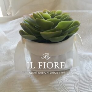 Bomboniera matrimonio con piantine grasse