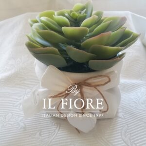 Bomboniere Comunione con piantine grasse