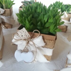 Bomboniera Green con piantine grasse
