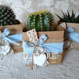 Bomboniere Battesimo con Piantine grasse