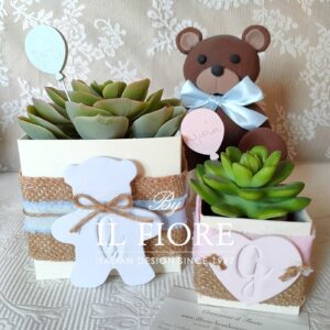 Bomboniere Battesimo con Piantine grasse