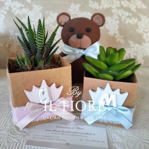 Bomboniere con Piantine grasse Battesimo Principessa e Principino