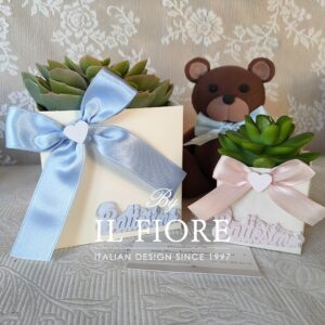 Bomboniere Battesimo con Piantine grasse