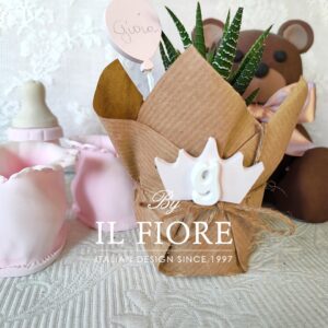 Bomboniere con Piantine grasse Battesimo con coroncina