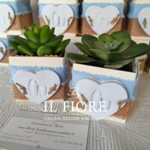 Bomboniere Battesimo con Piantine grasse