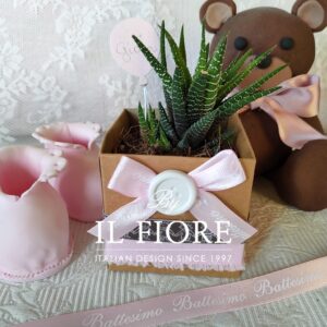 Bomboniere Battesimo con Piantine grasse e palloncino