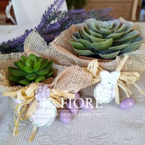 Bomboniera Green con piantine grasse per Comunione Cresima e matrimonio