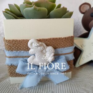 Bomboniera Comunione e Cresima Green con piantine grasse