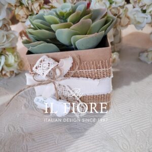 Bomboniera Green con piantine grasse