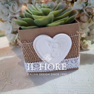 Bomboniera Green con piantine grasse