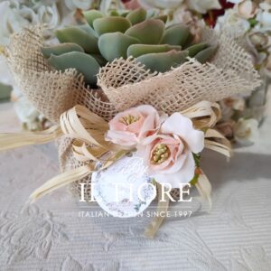 Bomboniera Green con piantine grasse