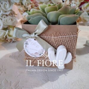 Bomboniera Green con piantine grasse