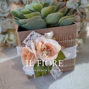 Bomboniera Green con piantine grasse