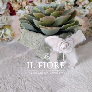Bomboniera Green con piantine grasse