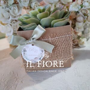 Bomboniera Green con piantine grasse