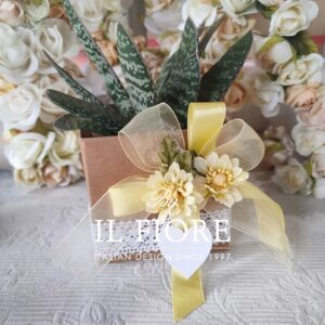 Bomboniera Green Comunione e Cresima con piantine grasse