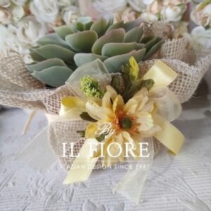 Bomboniera Green Comunione e Cresima con piantine grasse