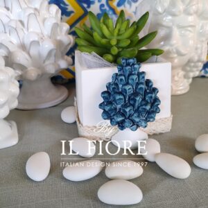 Bomboniere matrimonio piantina grassa con vasetto in gesso e pigna siciliana