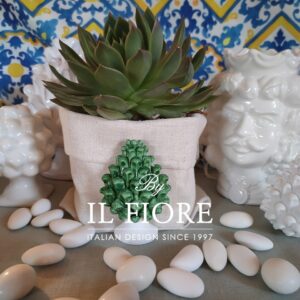 Bomboniere piantine grasse green matrimonio