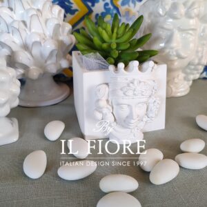 Bomboniere matrimonio piantina grassa con vasetto in gesso e testa moro siciliana