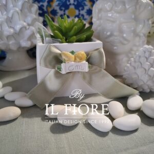 Bomboniera matrimonio piantina grassa con vasetto in gesso con targhetta limoni