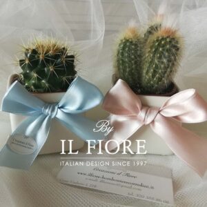 Bomboniera Battesimo Piantine Green