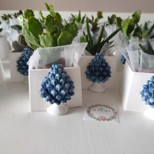 Bomboniere Comunione piantina grassa con vasetto in gesso e pigna siciliana azzurra