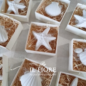 stelle marine