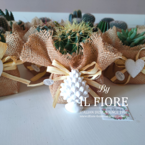 Bomboniera Matrimonio con piantine grasse