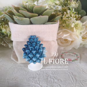 Bomboniere piantine grasse green matrimonio con pigna