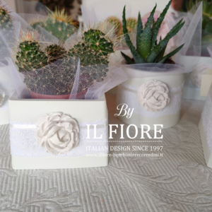 Bomboniere Matrimonio piantina grassa con vasetto in gesso