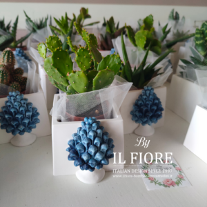 Bomboniere matrimonio piantina grassa con vasetto in gesso e pigna siciliana