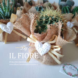 Bomboniere Comunione Green con piantine grasse
