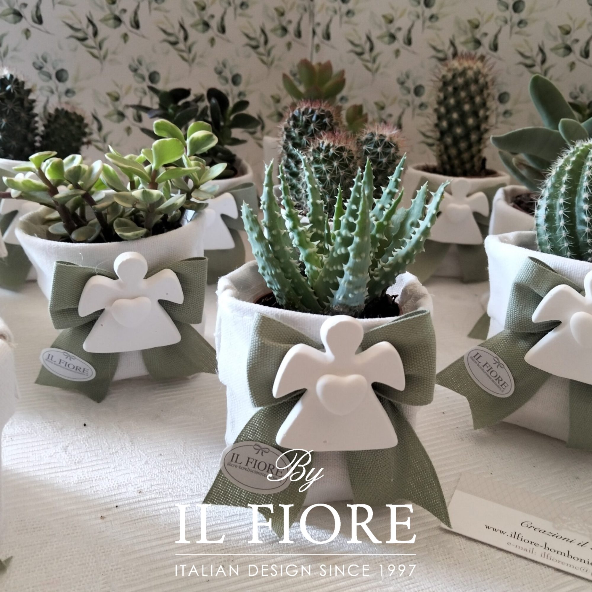 bomboniere comunione e cresima piantine grasse